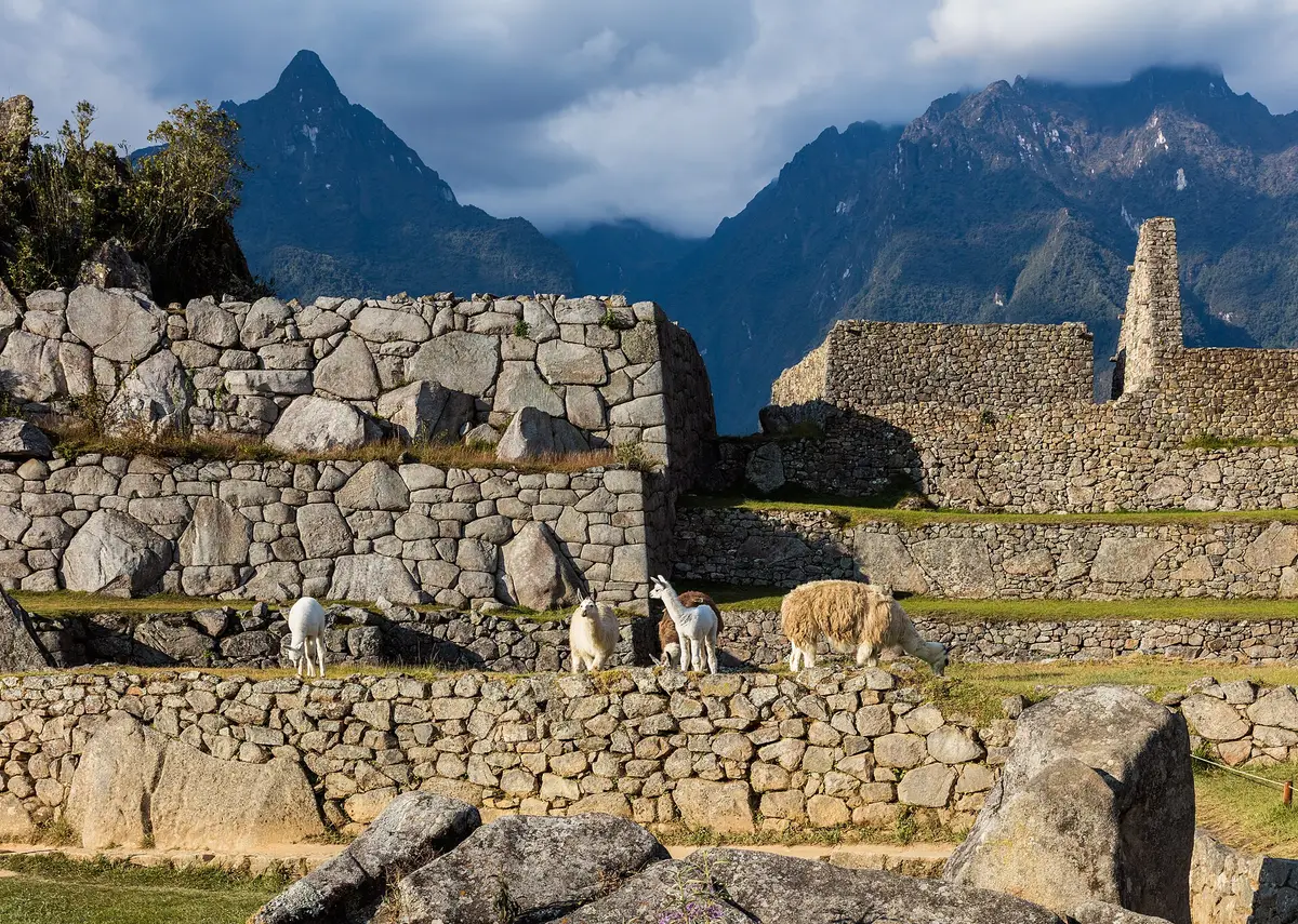 Cusco